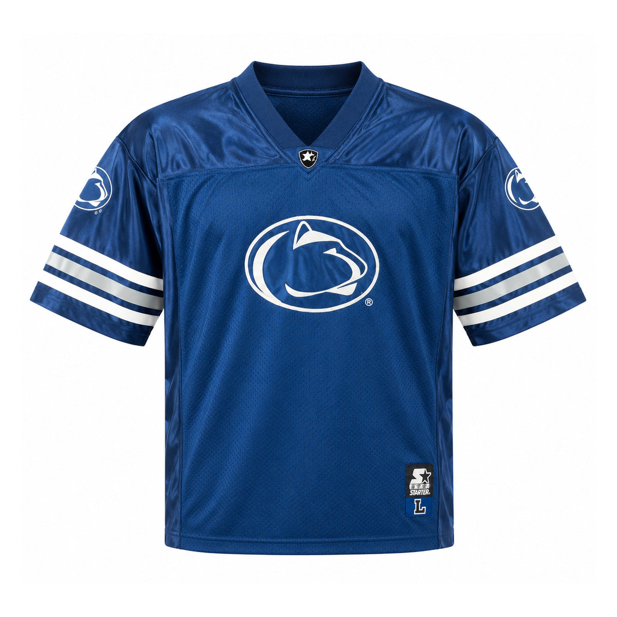 Vintage Starter Lion Jersey