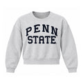 Vintage Penn State Chenille Crop