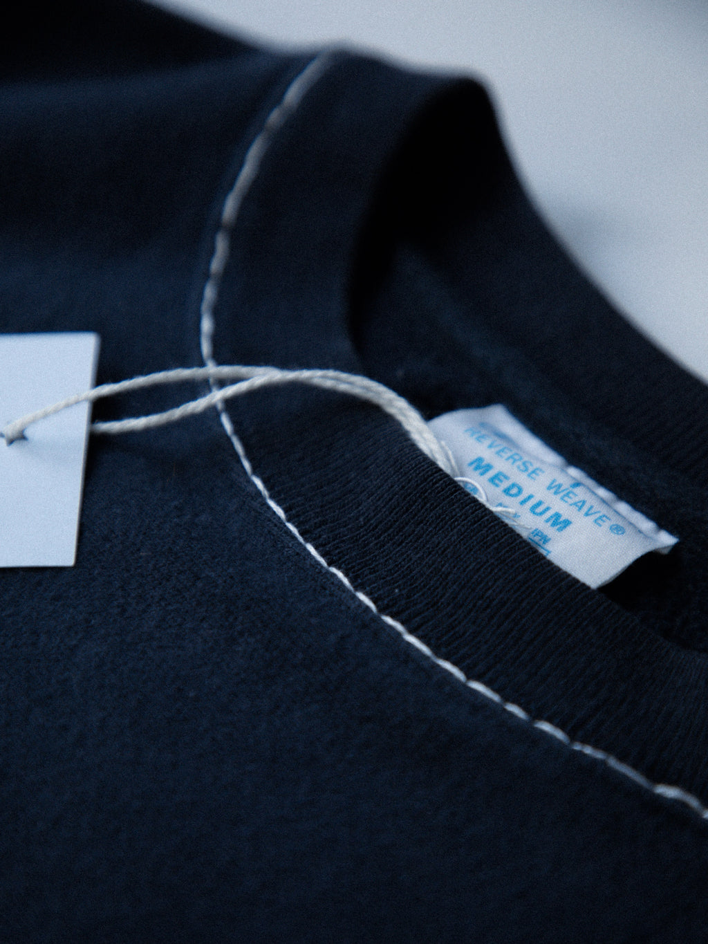 Mini Lion Stitch Crewneck