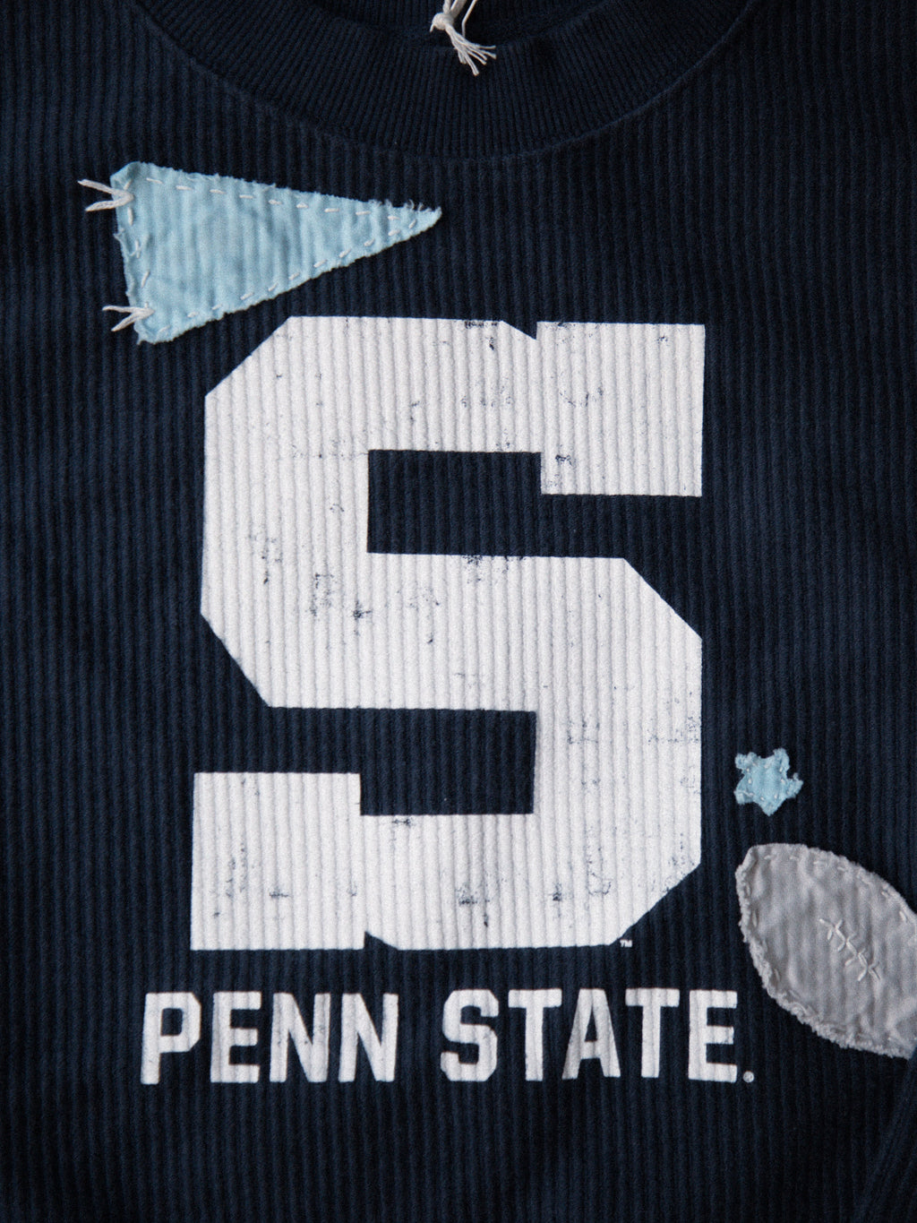 Pennant "S" Crop Crewneck