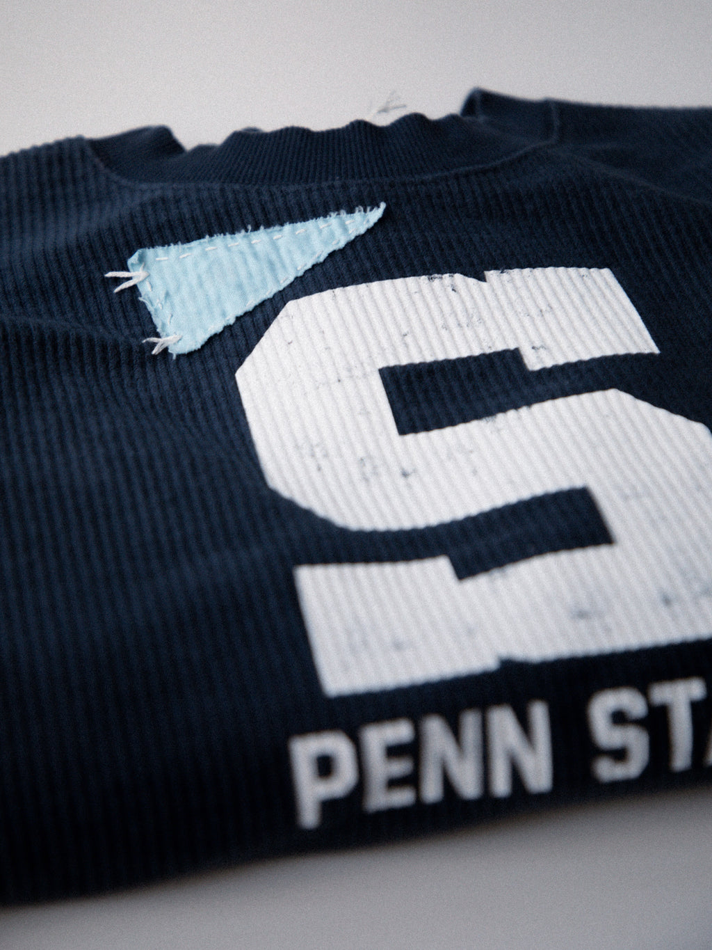 Pennant "S" Crop Crewneck